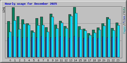 Hourly usage for December 2025