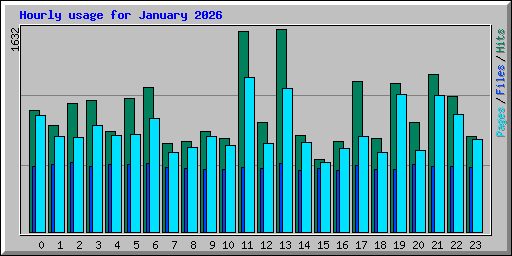 Hourly usage for January 2026